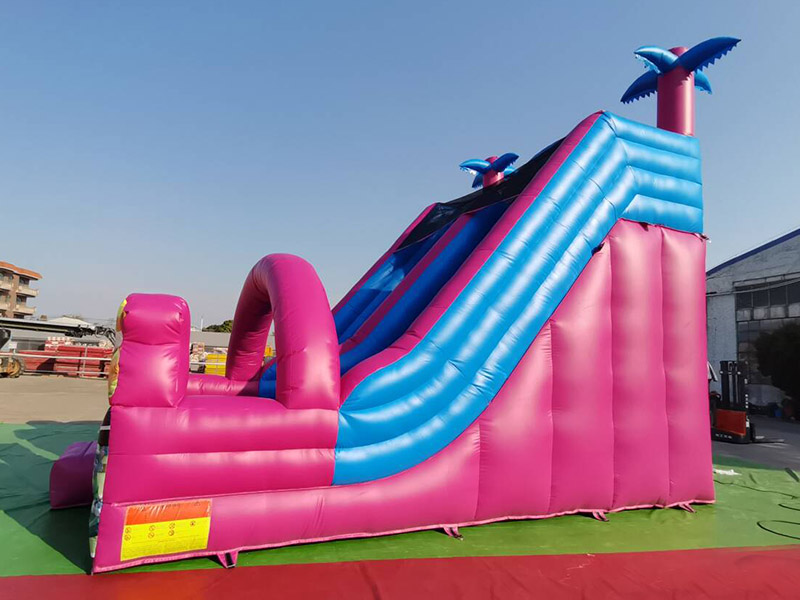 fun inflatable slide