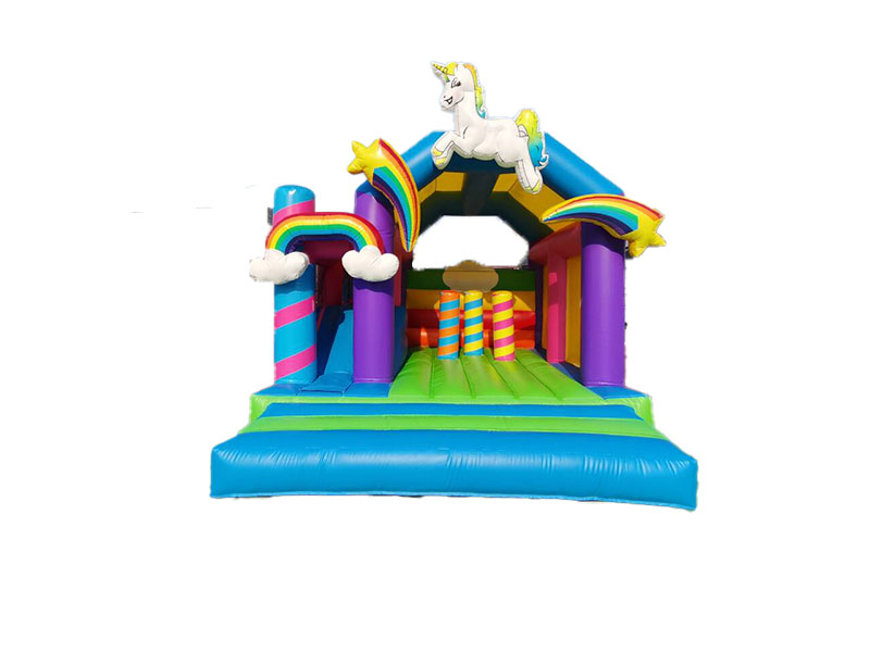 bouncy castle pool